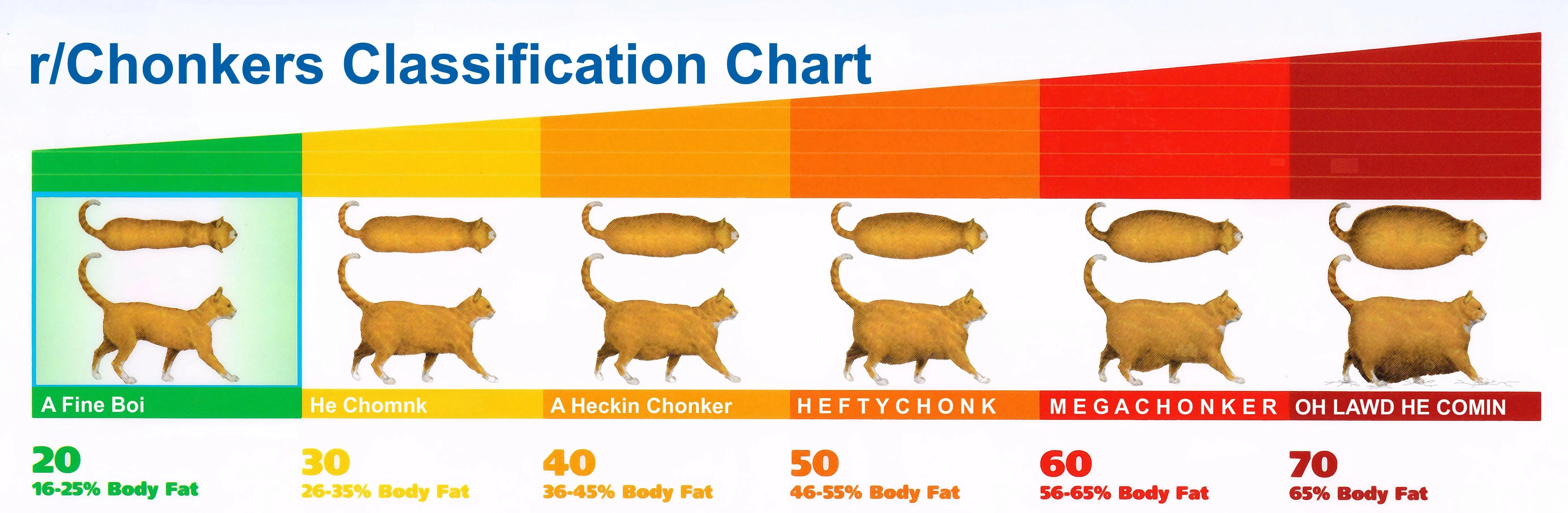 Chart of chonk levels for cats